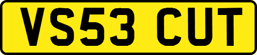 VS53CUT