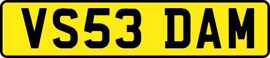 VS53DAM