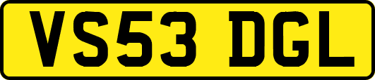 VS53DGL