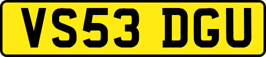 VS53DGU
