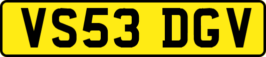 VS53DGV