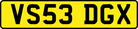 VS53DGX