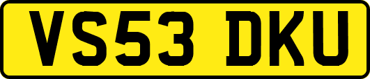VS53DKU