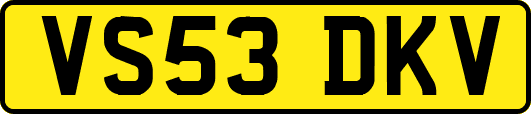 VS53DKV