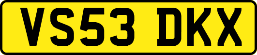 VS53DKX