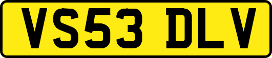 VS53DLV