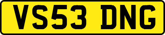 VS53DNG