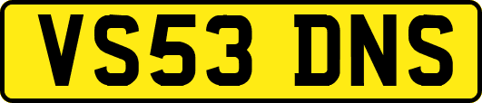 VS53DNS