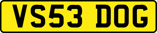 VS53DOG
