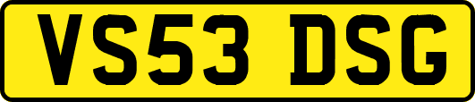 VS53DSG