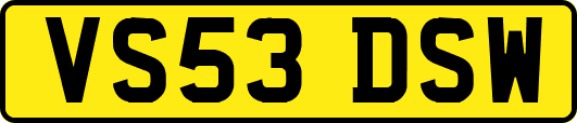 VS53DSW