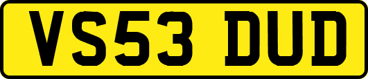 VS53DUD