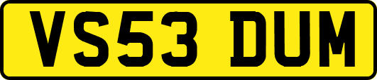 VS53DUM