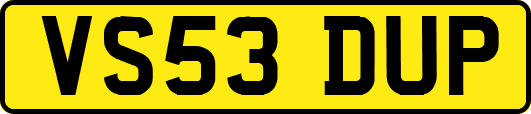 VS53DUP