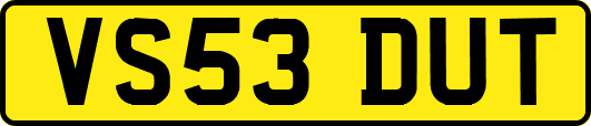 VS53DUT