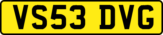 VS53DVG