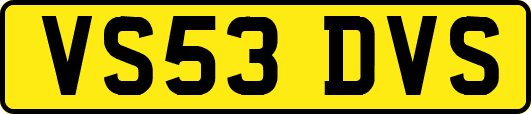 VS53DVS
