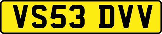 VS53DVV