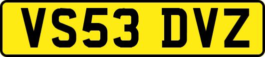 VS53DVZ