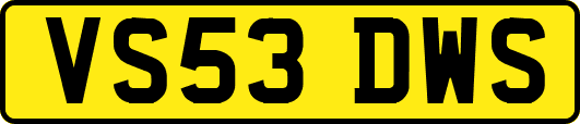 VS53DWS