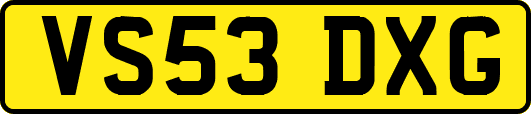 VS53DXG