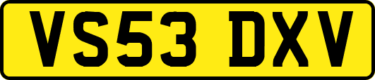 VS53DXV