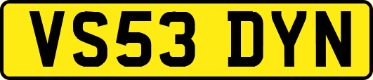 VS53DYN