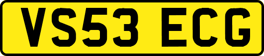 VS53ECG