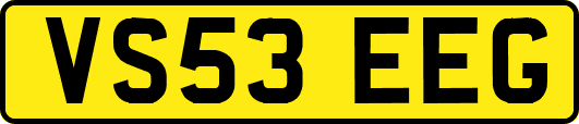 VS53EEG