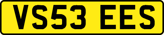 VS53EES