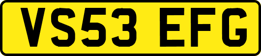 VS53EFG