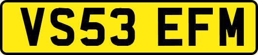VS53EFM