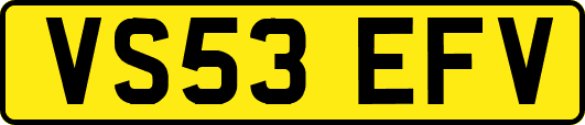 VS53EFV
