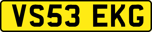 VS53EKG