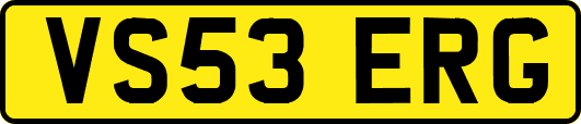 VS53ERG