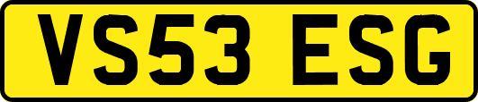 VS53ESG