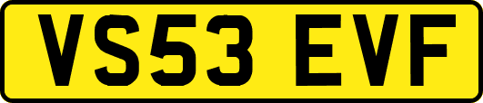 VS53EVF