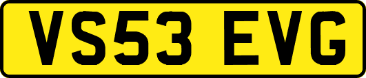 VS53EVG