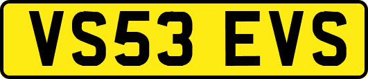 VS53EVS