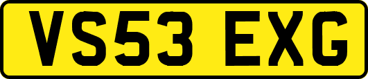 VS53EXG