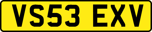 VS53EXV