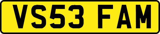 VS53FAM