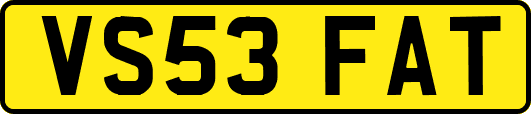 VS53FAT