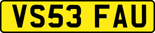 VS53FAU