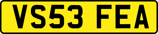 VS53FEA