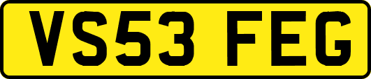 VS53FEG
