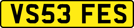 VS53FES