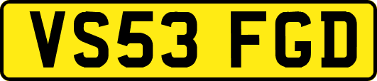 VS53FGD