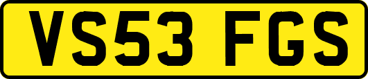 VS53FGS