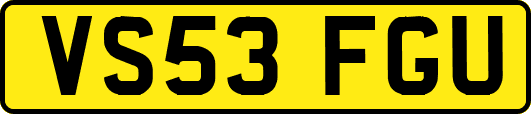 VS53FGU